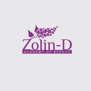 Фирменный стиль "Zolin D"